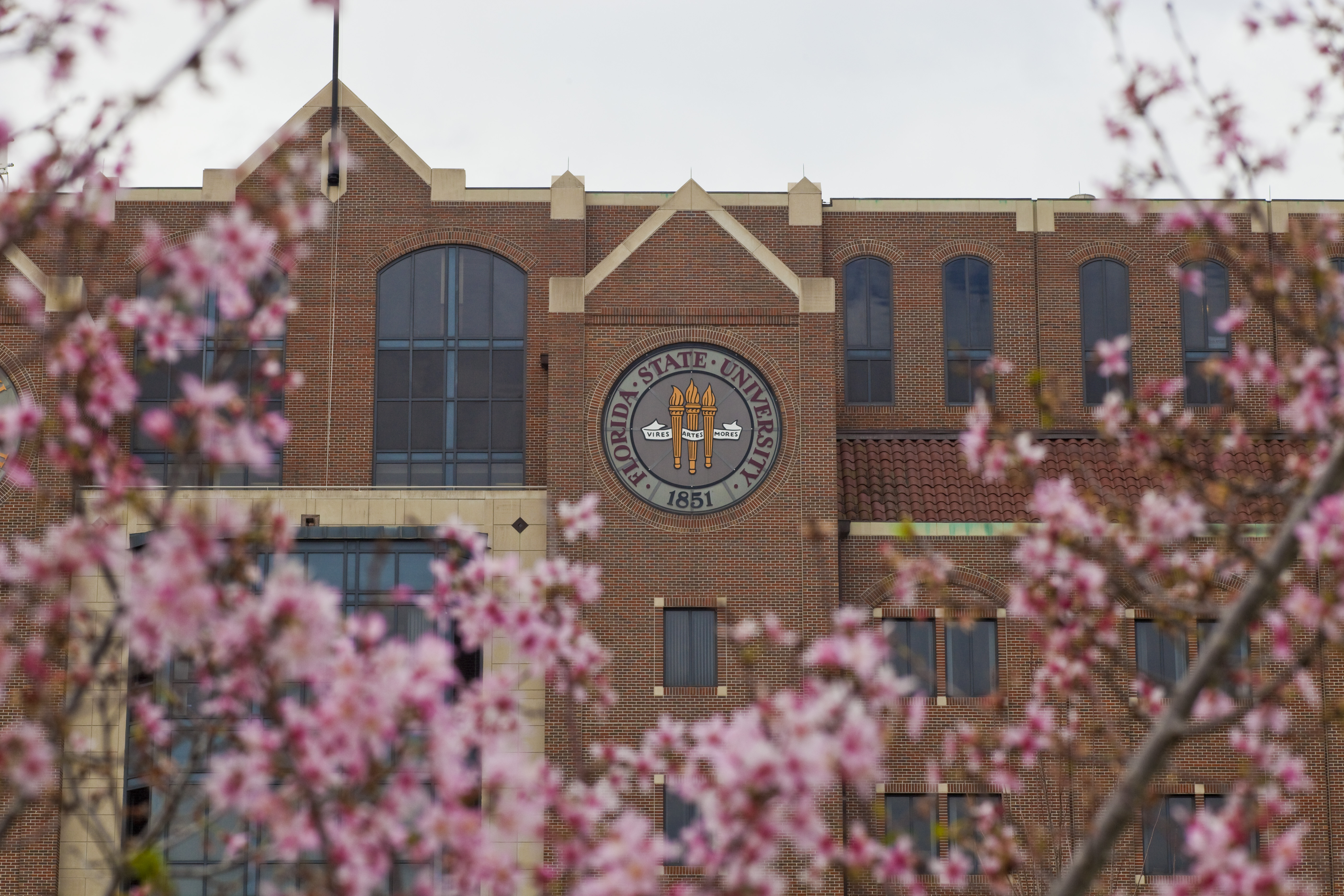 Photo of the University Center with pink blooms in the foreground